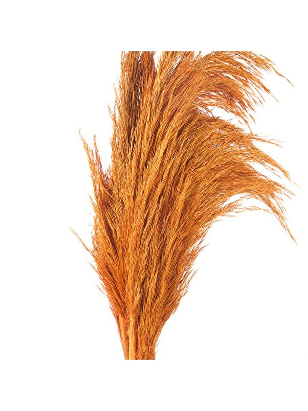 Deco Pampas Yapay Çiçek - Turuncu - 90x20 cm-1