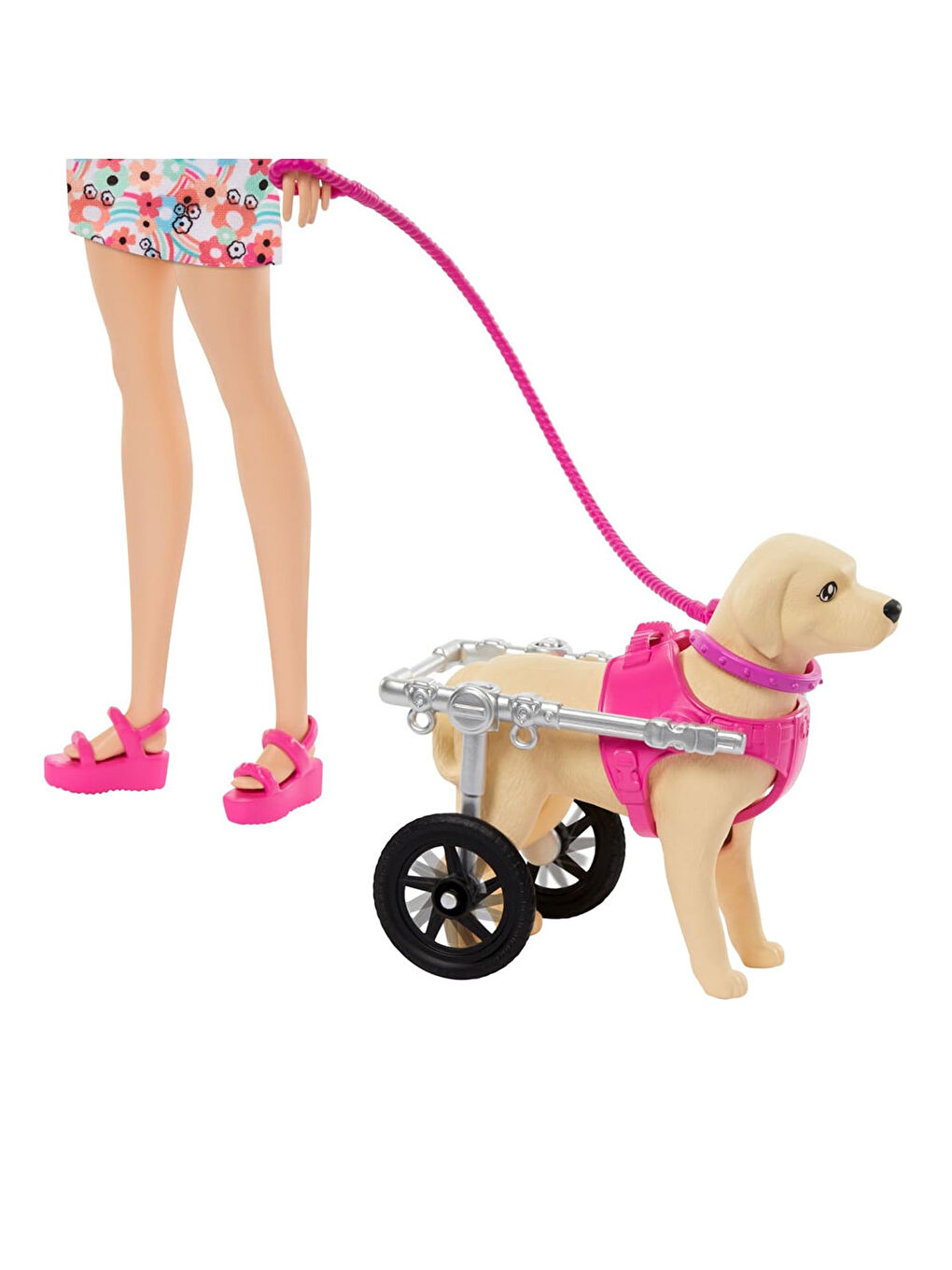 ve Engelli Köpeği Oyun Seti HTK37-4