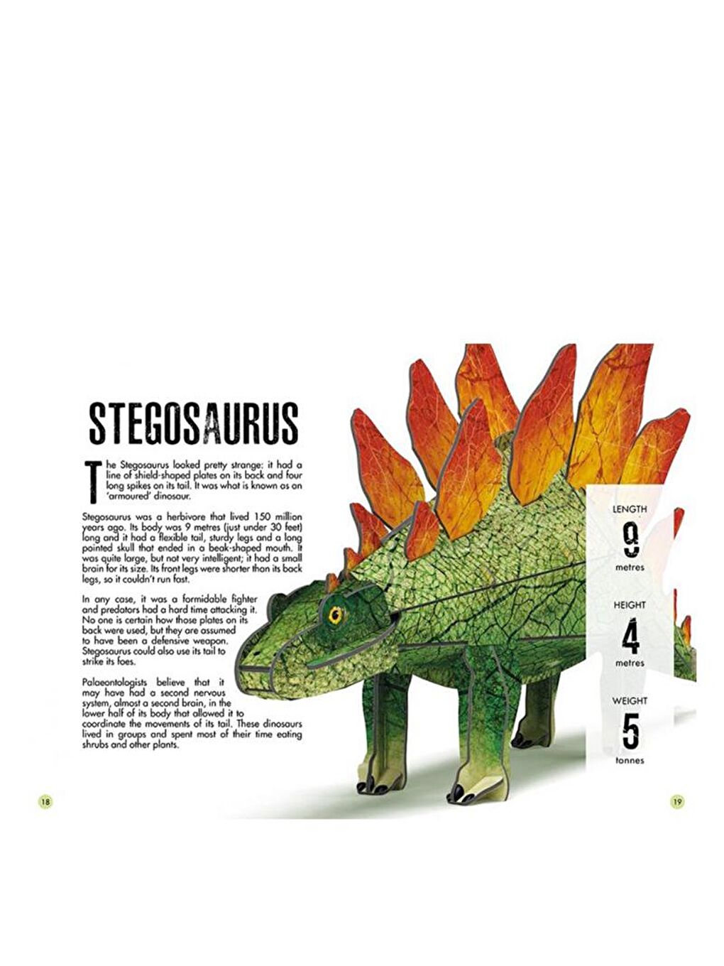 3D Stegosaurus - Book and 3D Model-2