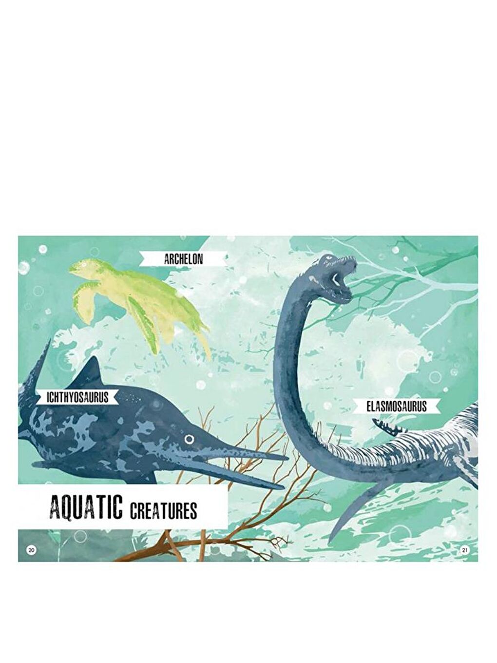 3D Stegosaurus - Book and 3D Model-3