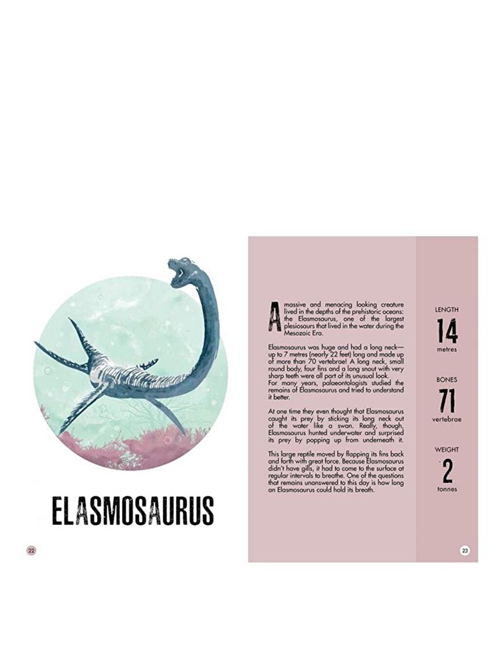 3D Stegosaurus - Book and 3D Model-4