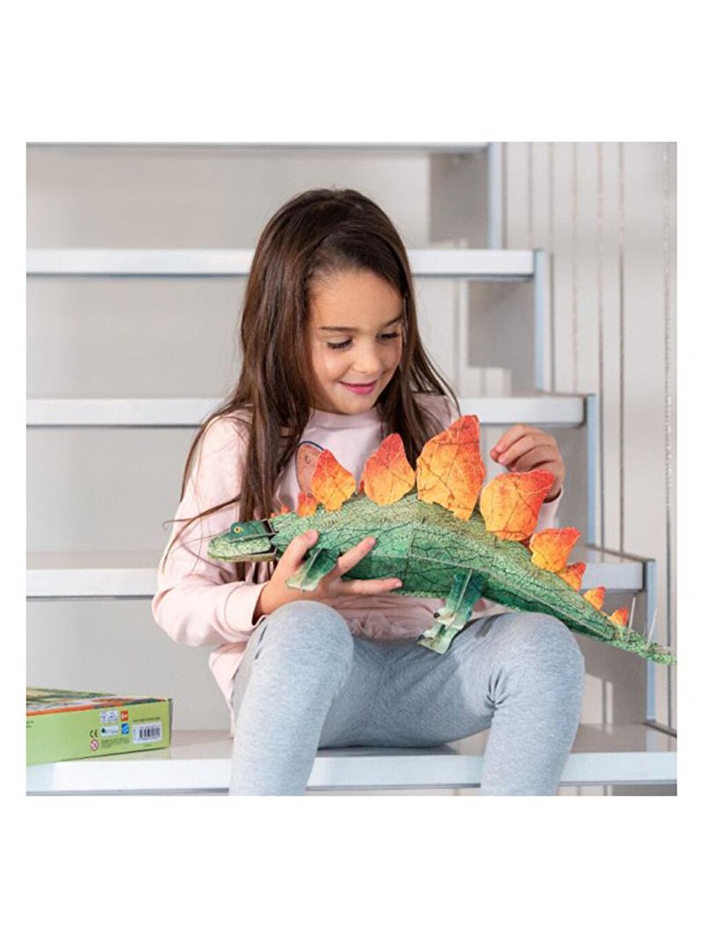 3D Stegosaurus - Book and 3D Model-5