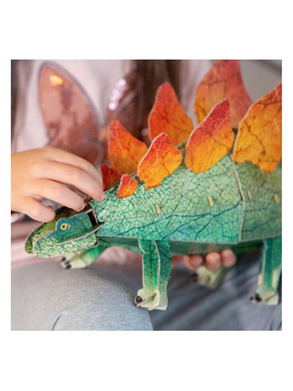 3D Stegosaurus - Book and 3D Model-6