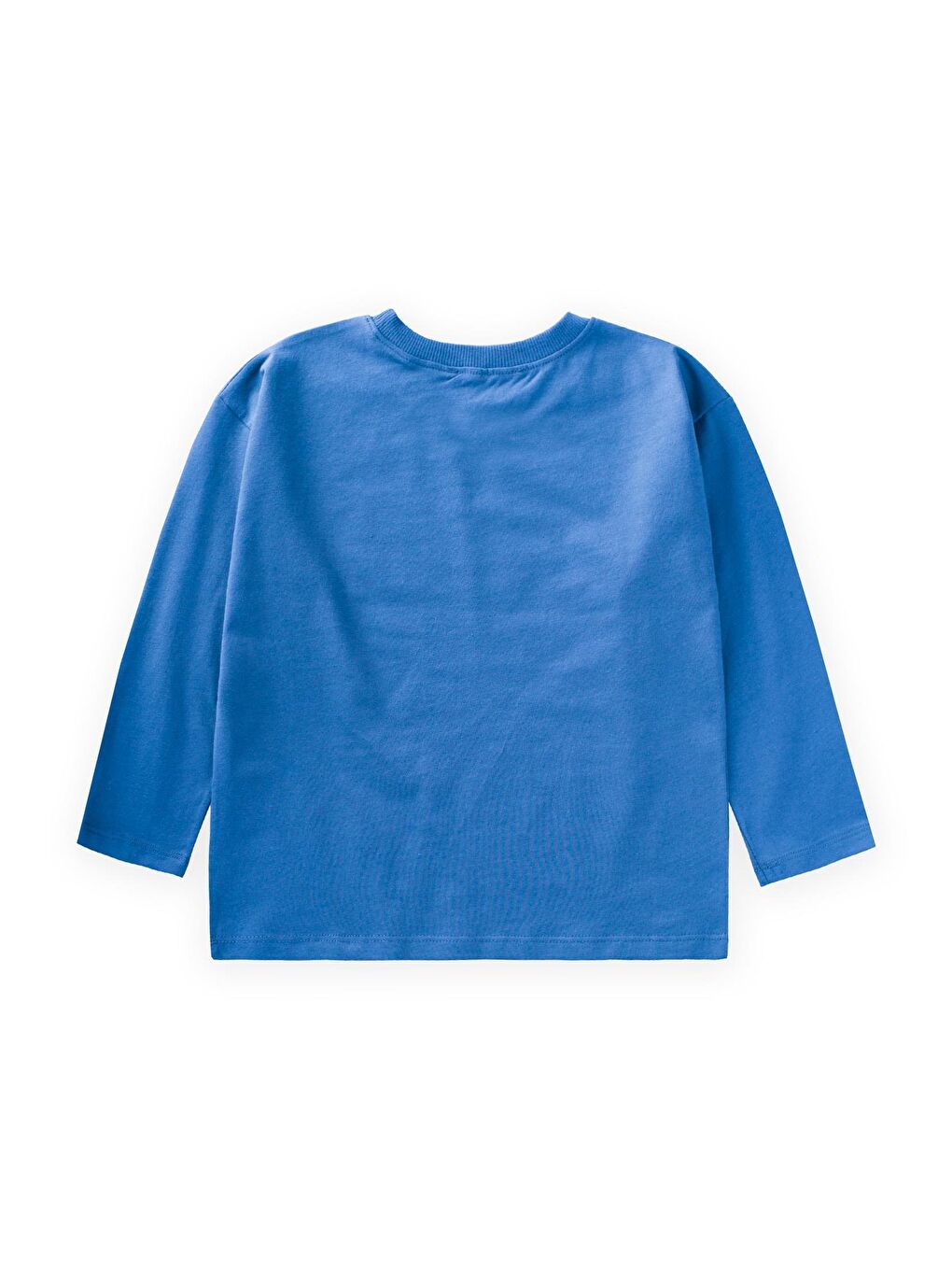 Mevsimlik Basic T-Shırt 2-10 Yaş Mavi-1