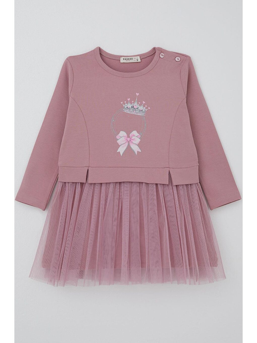 Pembe Kız Çocuk Uzun Kollu Elbise Taçlı Kalp Masalı Gülkurusu (2 Yaş)