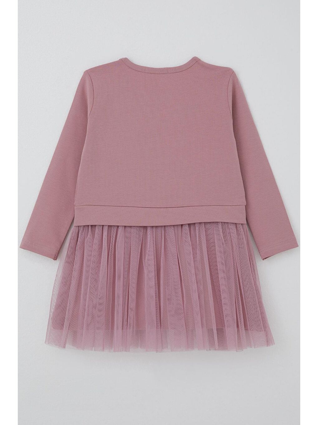 Pembe Kız Çocuk Uzun Kollu Elbise Taçlı Kalp Masalı Gülkurusu (2 Yaş)-1