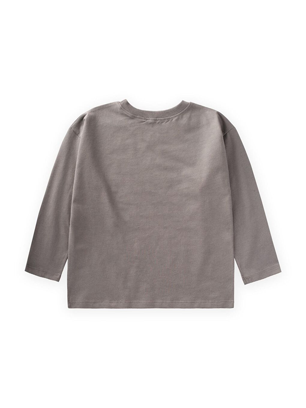 Bej Mevsimlik Basic T-Shırt 2-10 Yaş Vizon-1