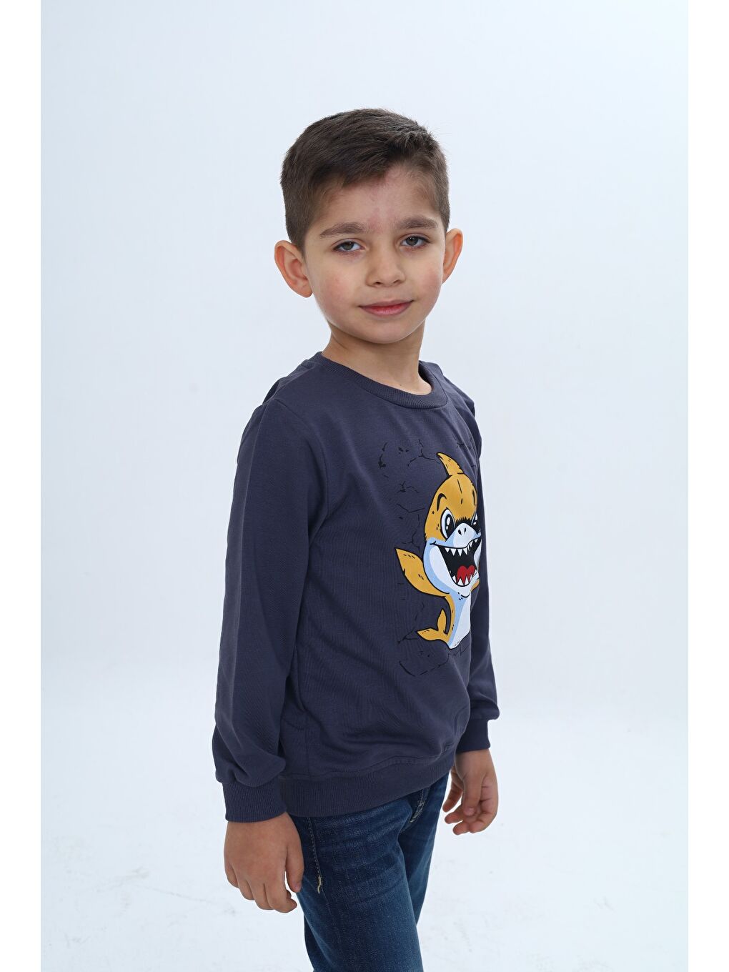 Gri Erkek Çocuk Çıtçıtlı Köpek Balığı Baskılı Sweatshirt-1