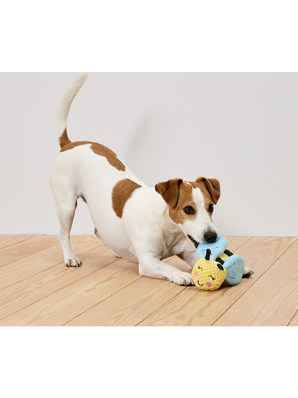 Köpek Oyuncağı Pelüş Arı Küçük-2