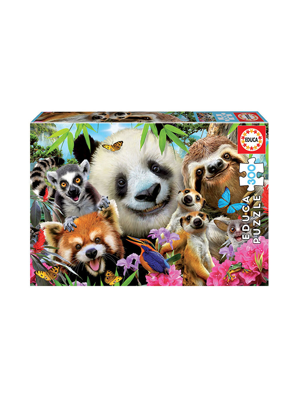 Puzzle 300 Parça Black Eyed Friends Selfie 18610