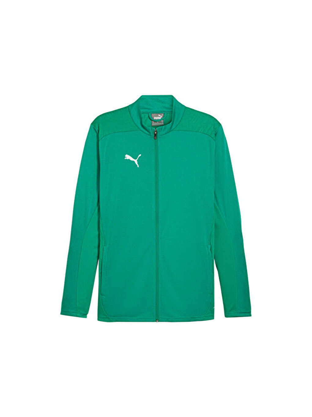 Teamfinal Training Jacket Erkek Futbol Antrenman Ceketi 65855405 Yeşil