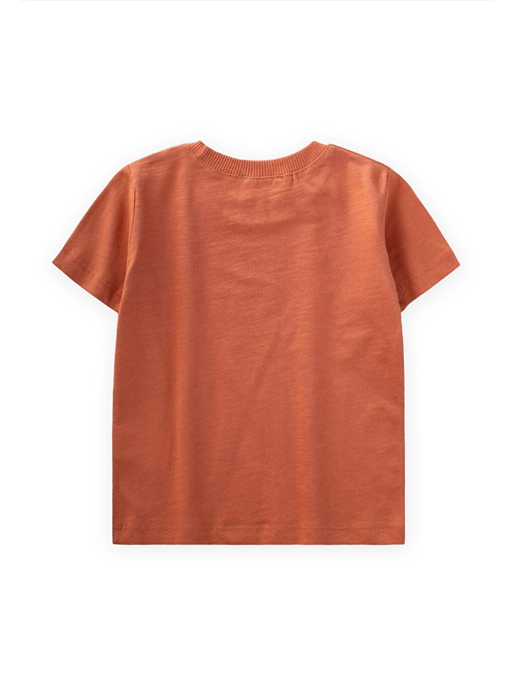 Turuncu Kirpi Baskılı T-Shırt 1-5 Yaş Oranj-1