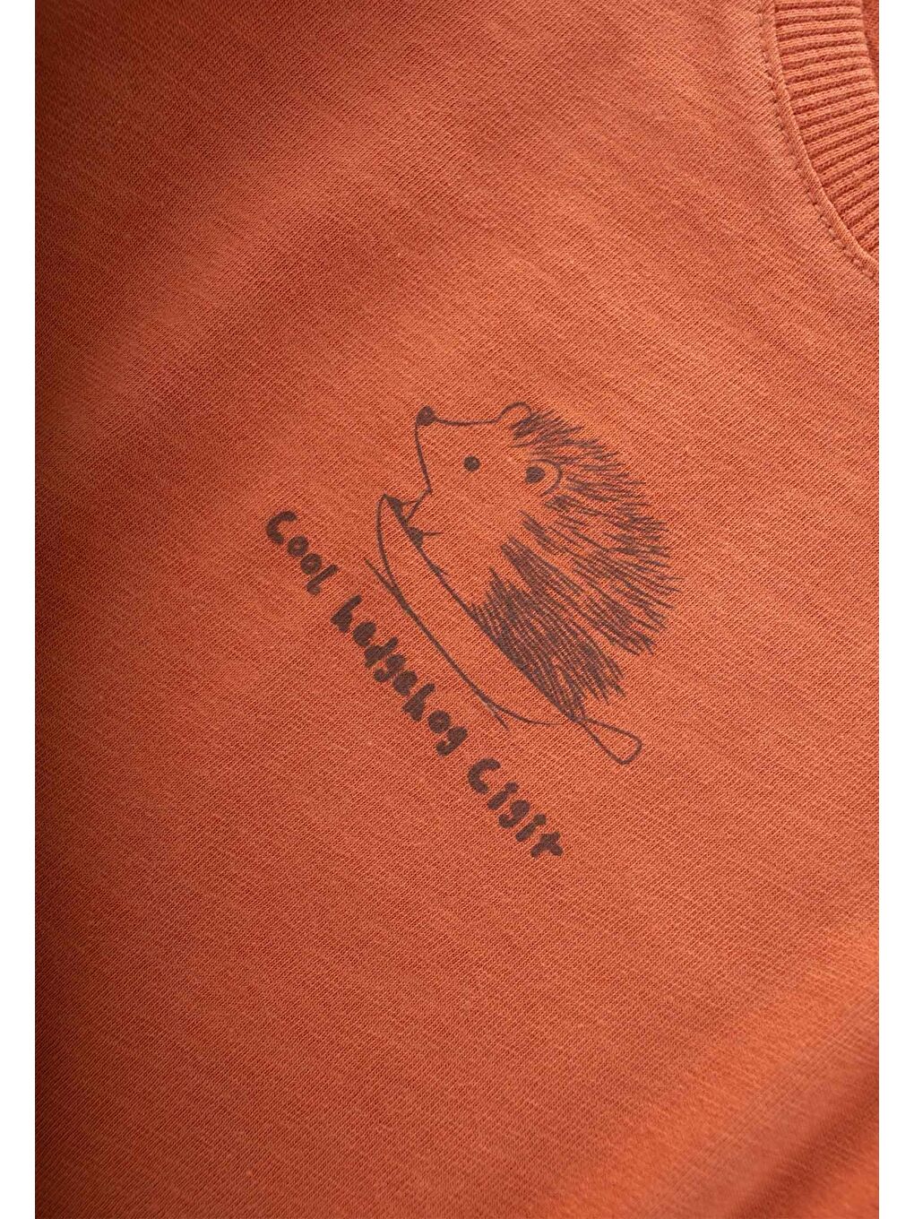 Turuncu Kirpi Baskılı T-Shırt 1-5 Yaş Oranj-2