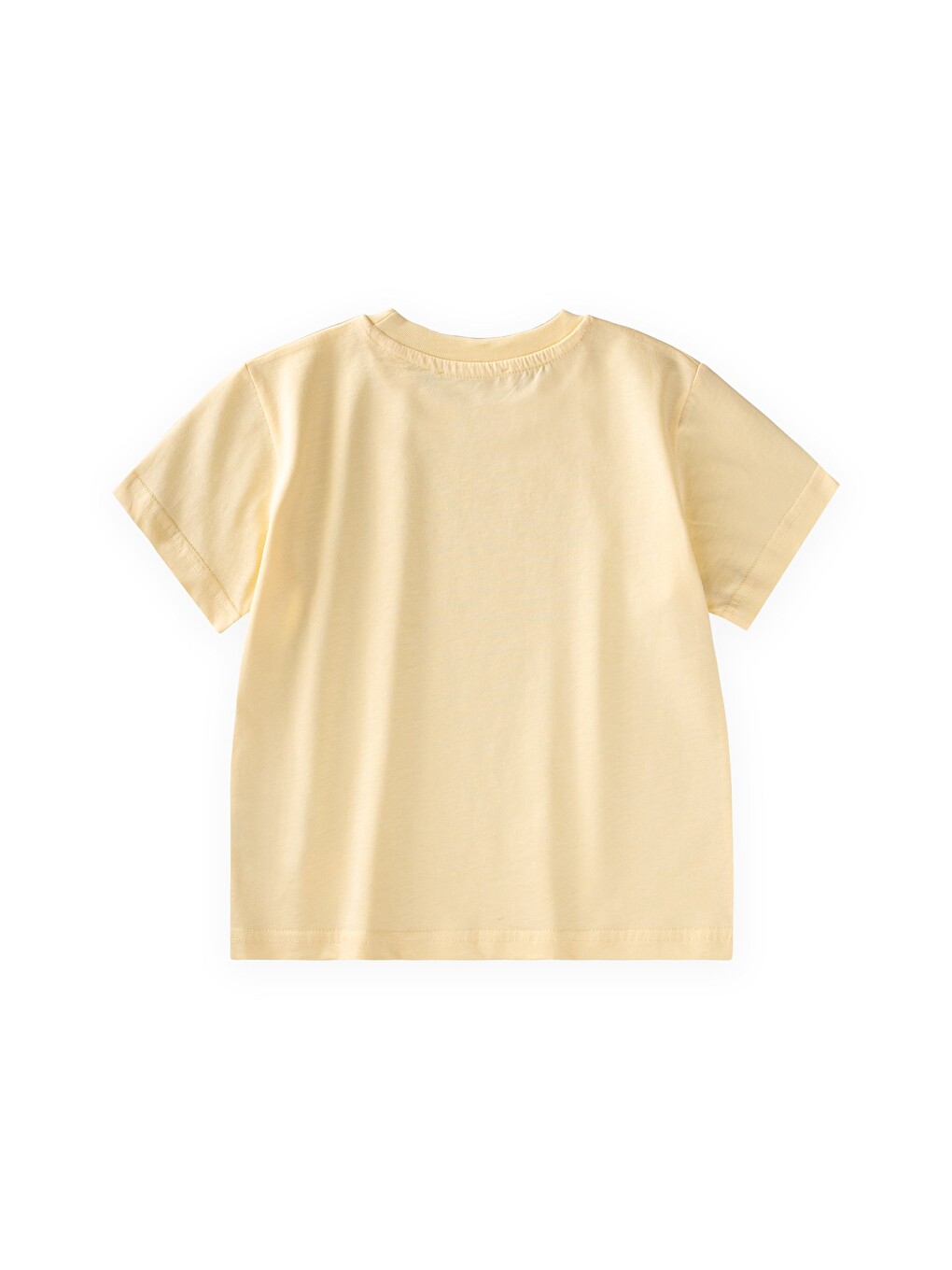 Etiket Detaylı T-shirt 2-10 Yaş Sarı-1