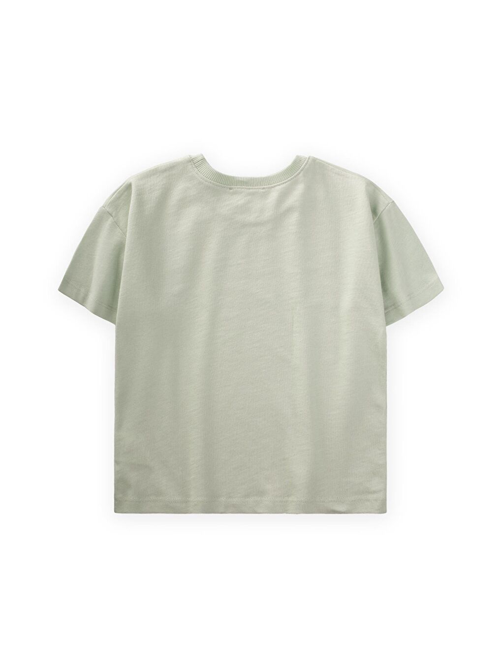 Turkuaz Erkek Çocuk Baskılı Tişört-1