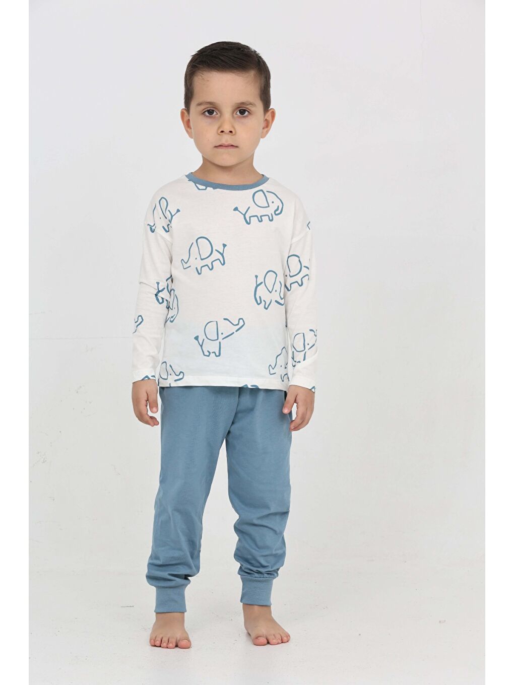 Mavi Erkek Çocuk Fil Pano Baskılı Pijama Takım