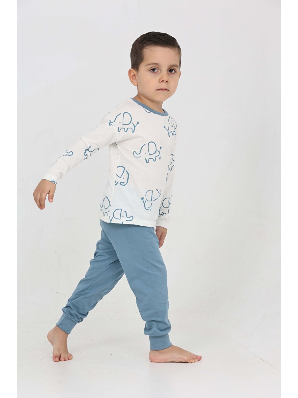 Mavi Erkek Çocuk Fil Pano Baskılı Pijama Takım-1