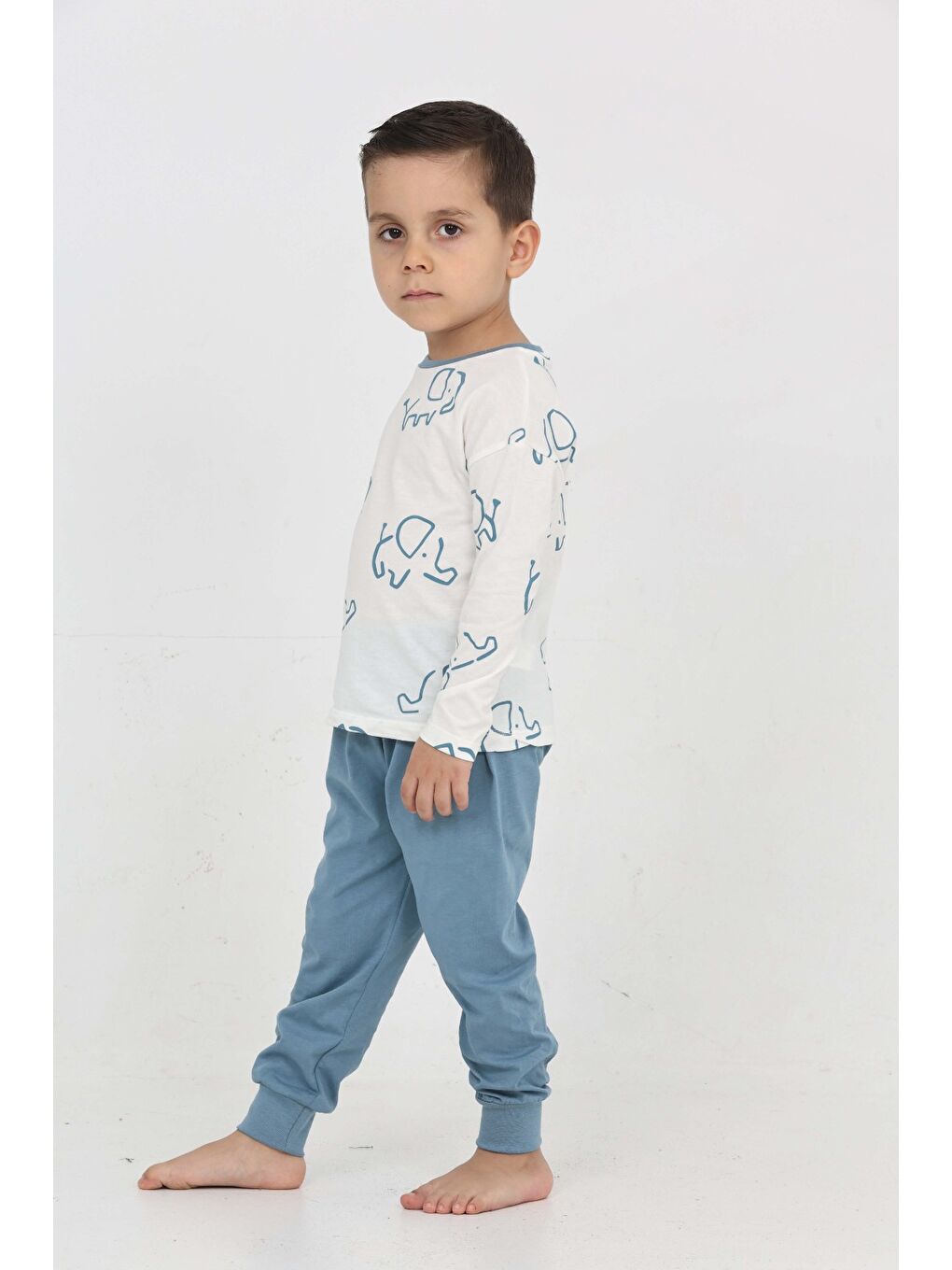 Mavi Erkek Çocuk Fil Pano Baskılı Pijama Takım-3