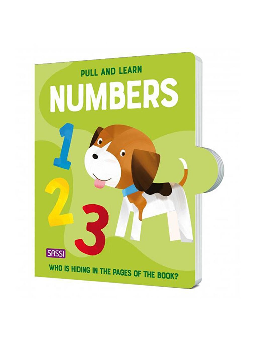 Pull and Learn Numbers