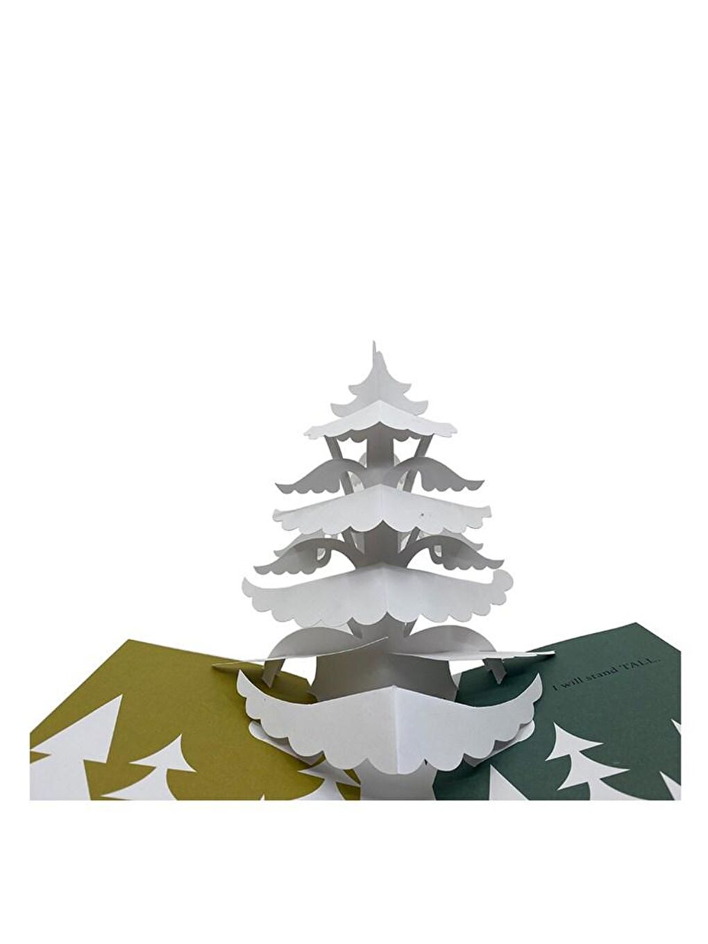 A Pop-Up Book to Inspire You - Believe-2