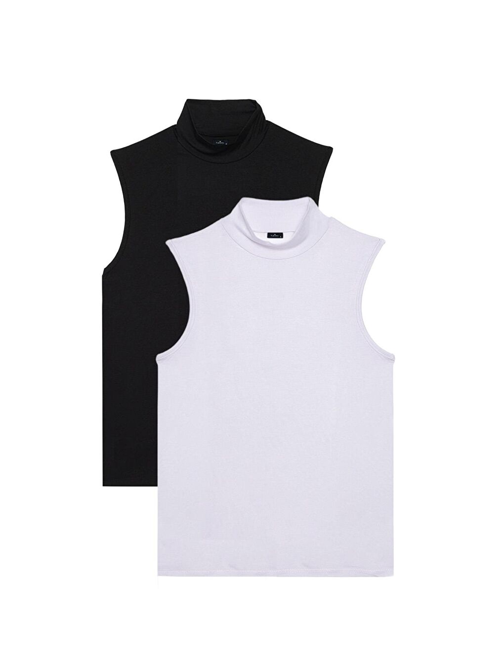 Karışık Kadın 2'Li Paket Siyah-Beyaz Regular Fit Klasik Kesim Viskon Kumaş Balıkçı Yaka Sıfır Kol Bluz