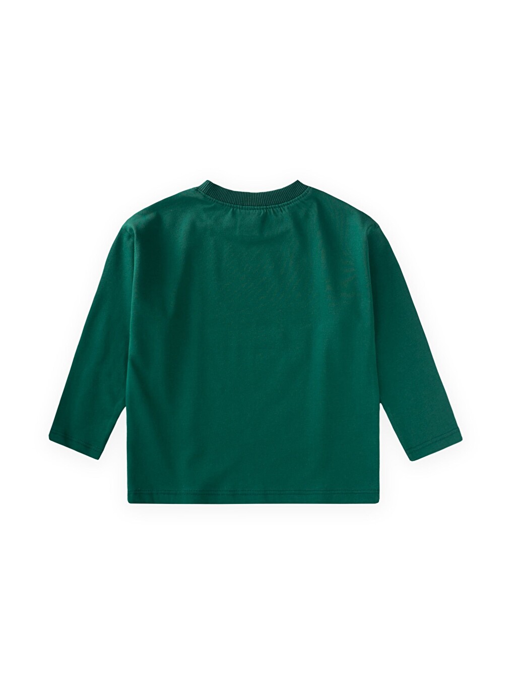 Sloganlı Uzun Kollu T-shirt 2-10 Yaş Yeşil-1