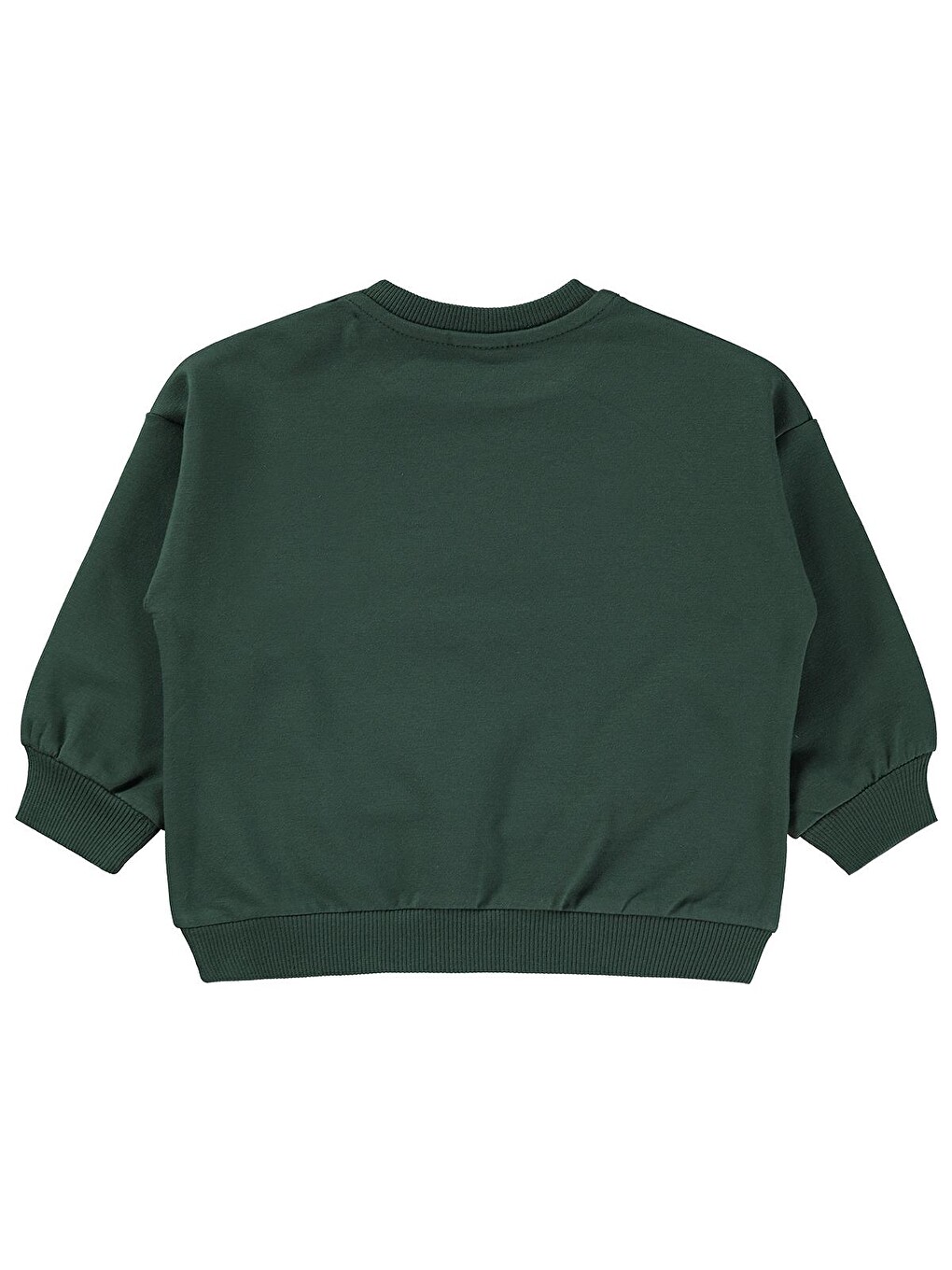 Baby Teddy Bear Baskılı 6-18 Ay Sweatshirt - Yeşil-1