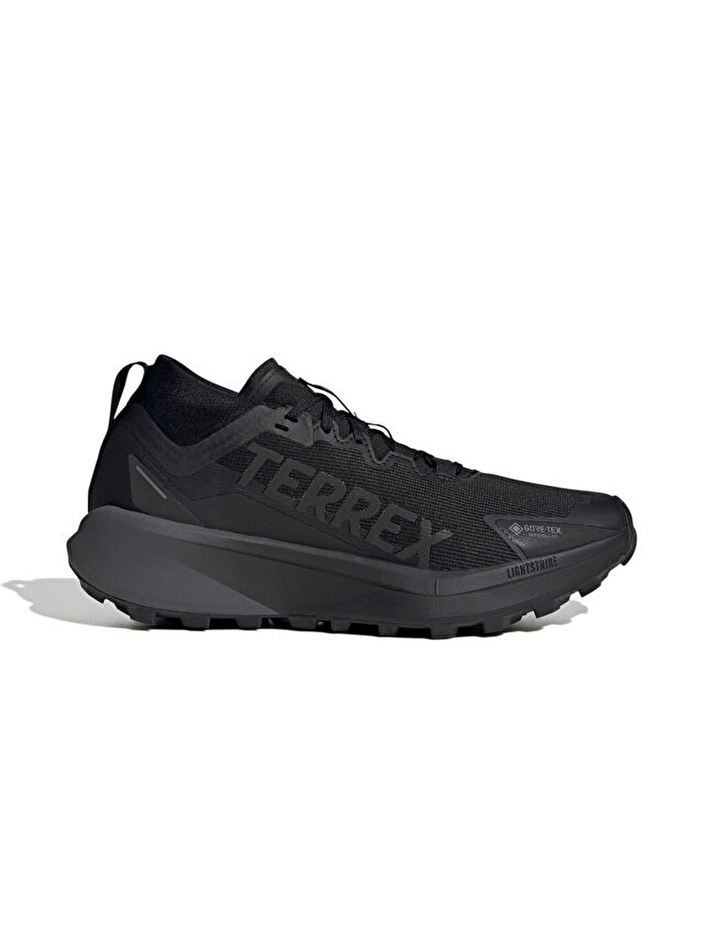 Terrex Agravic Gtx Erkek Arazi Tipi Koşu Ayakkabısı Jr5240 Siyah