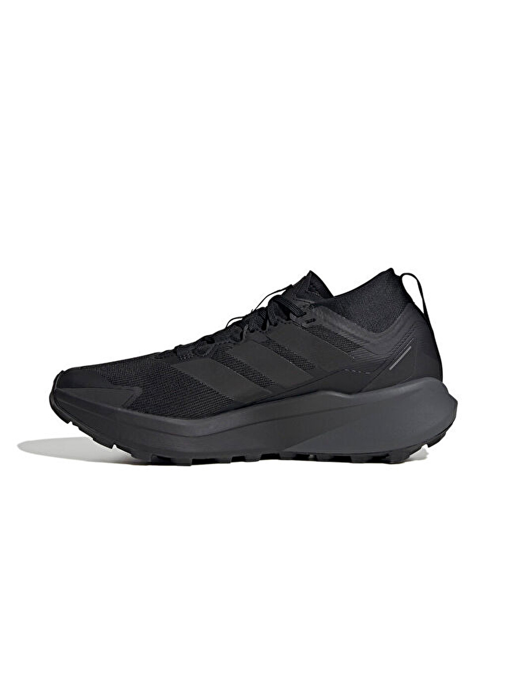 Terrex Agravic Gtx Erkek Arazi Tipi Koşu Ayakkabısı Jr5240 Siyah-1
