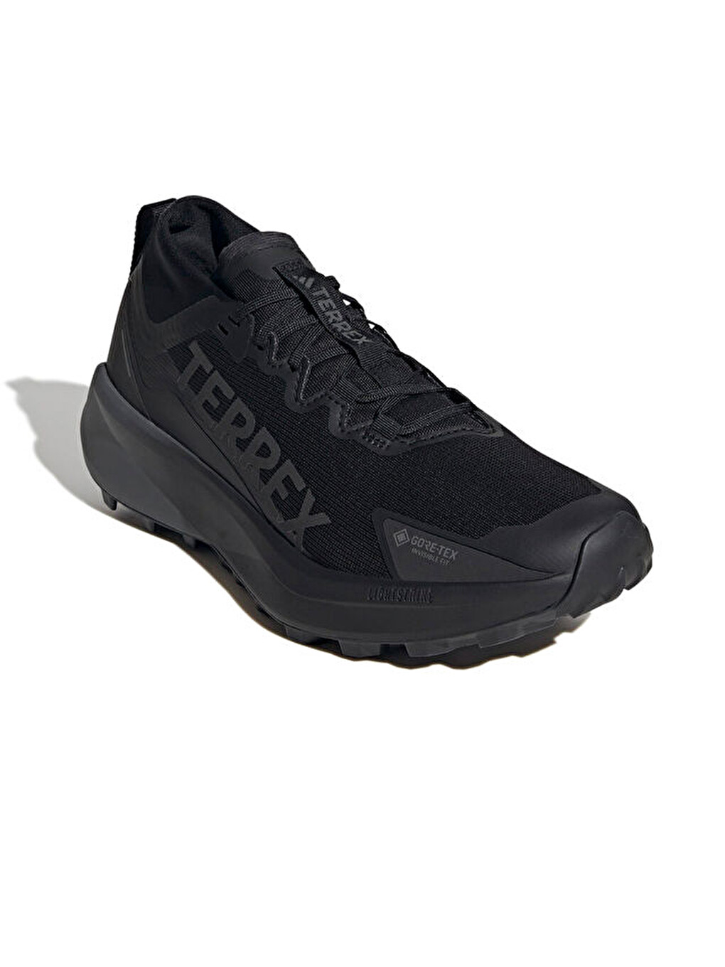 Terrex Agravic Gtx Erkek Arazi Tipi Koşu Ayakkabısı Jr5240 Siyah-2