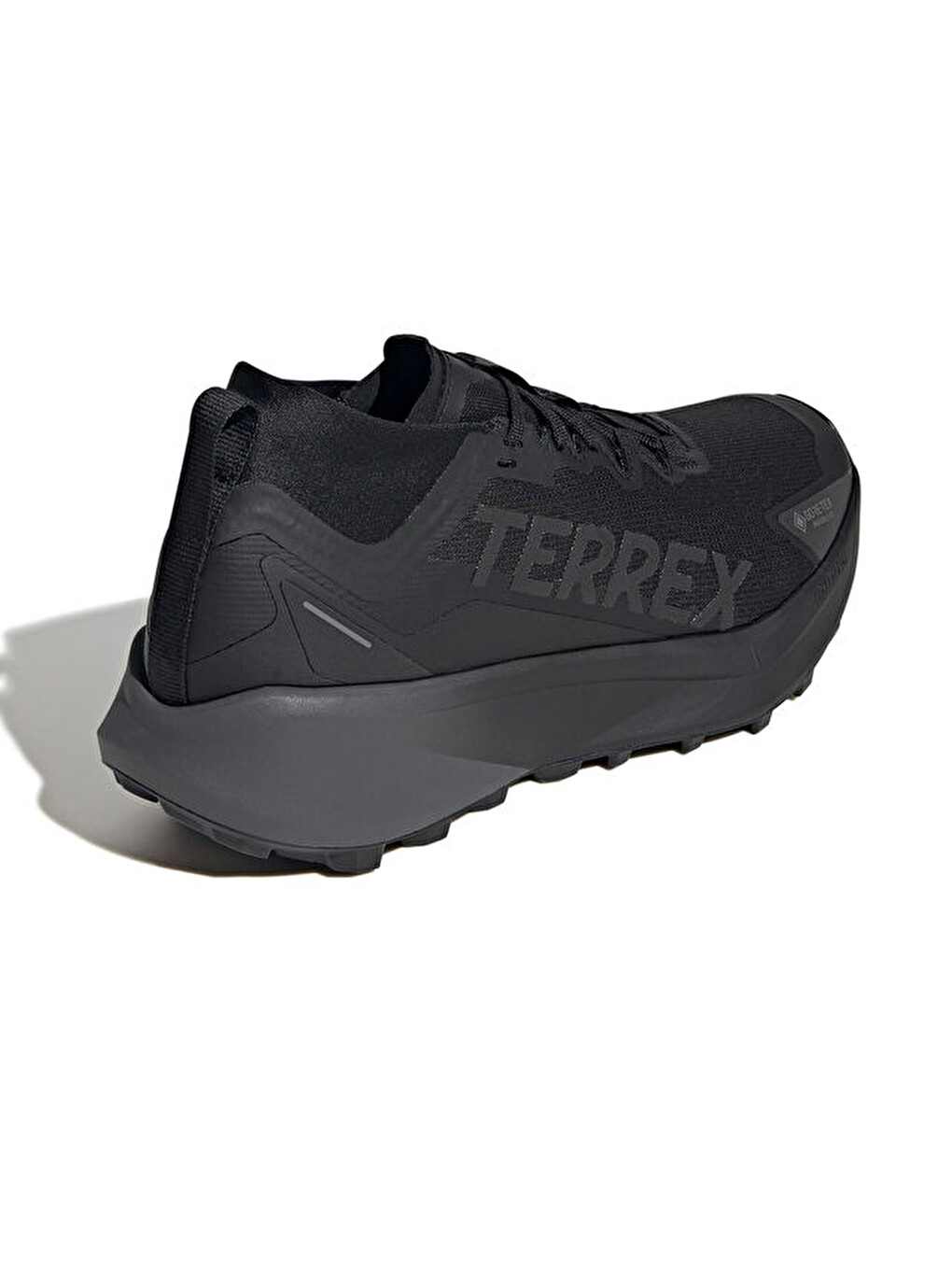 Terrex Agravic Gtx Erkek Arazi Tipi Koşu Ayakkabısı Jr5240 Siyah-4