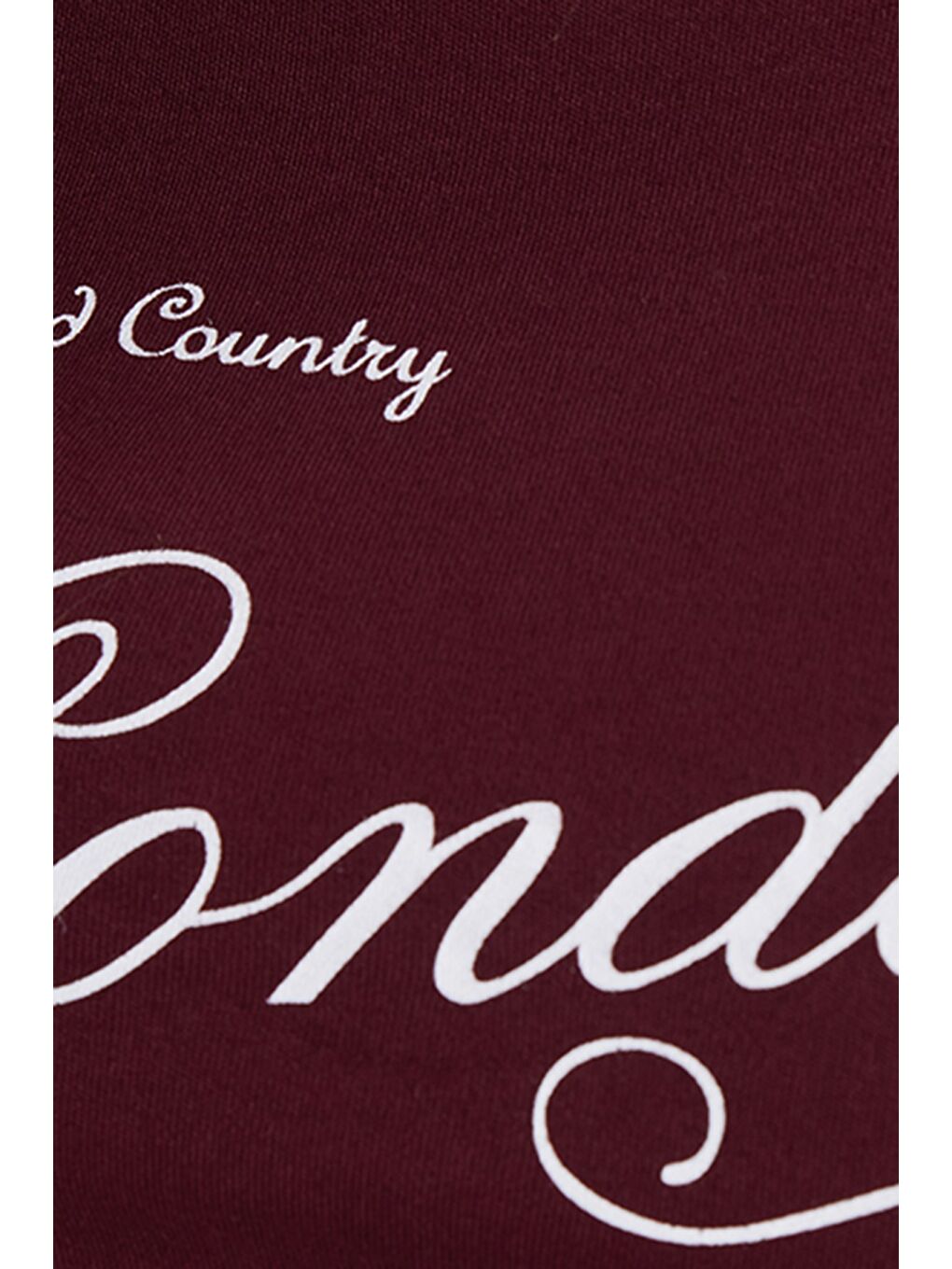 Kadın Slim Fit Dar Kesim %100 Pamuk Bisiklet Yaka Kısa Kollu Baskılı Bordo Crop Tişört-5