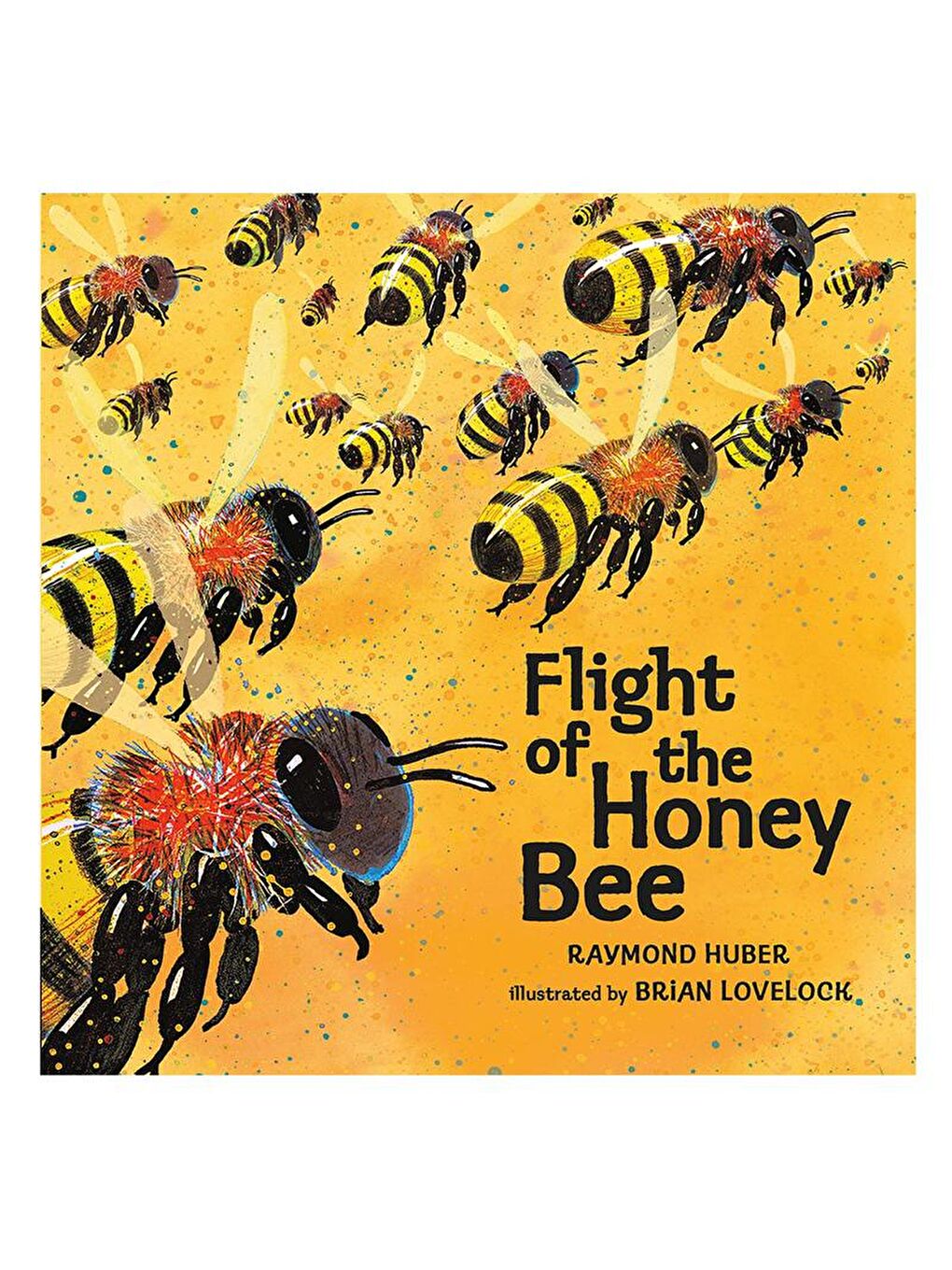 Walker Books Renksiz Flight of The Honey Bee