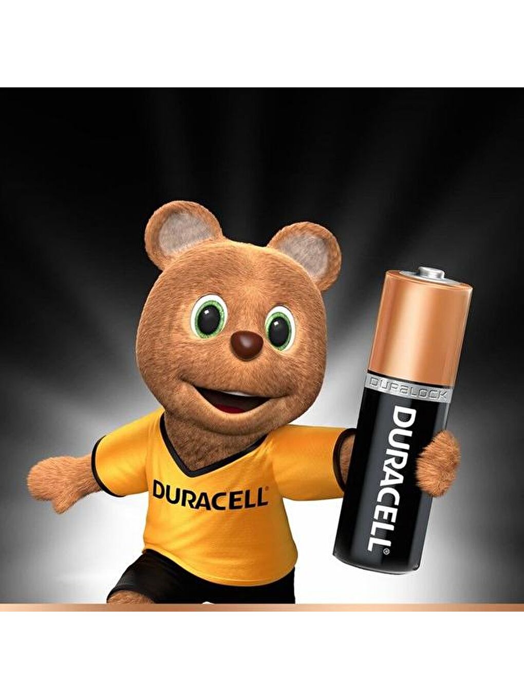 Basic 4'lü AA Kalem Pil-1