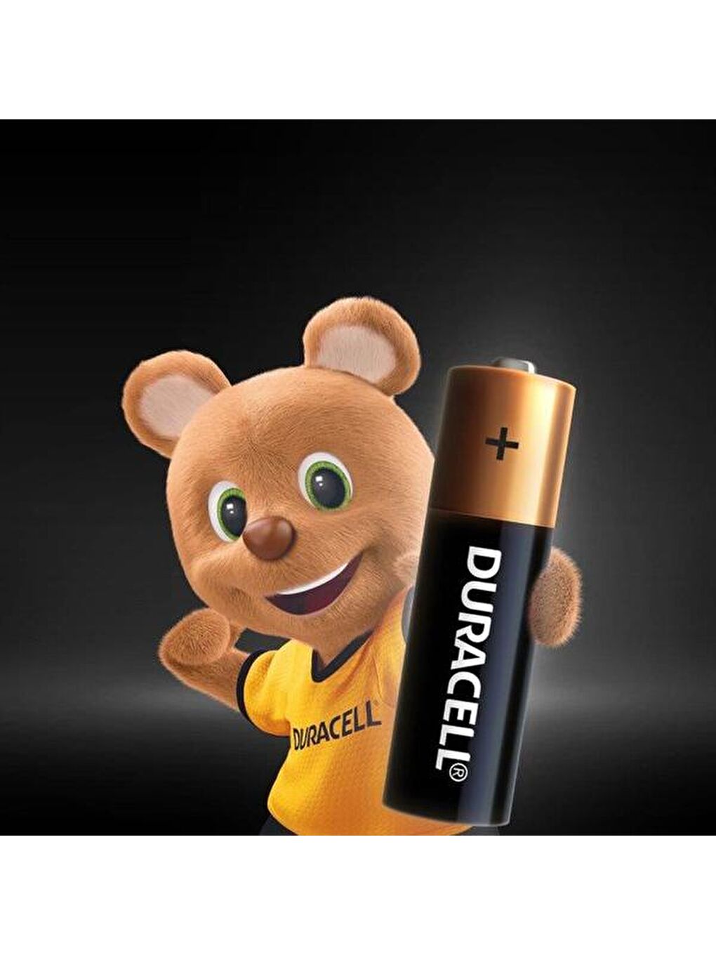 Basic 6'lı AA Kalem Pil-3