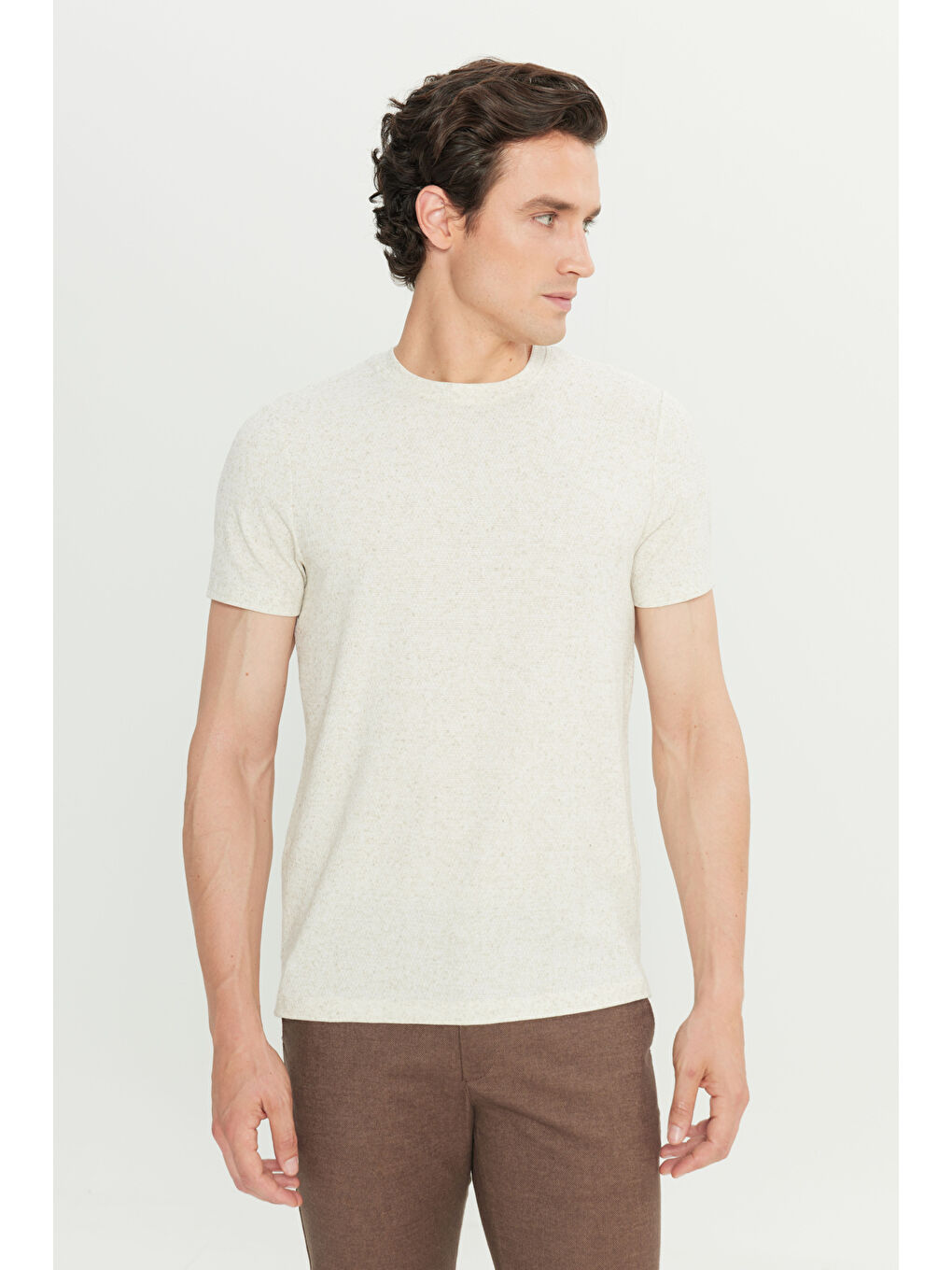 Erkek Bej Keten Slim Fit Dar Kesim Bisiklet Yaka Jakarlı Tişört