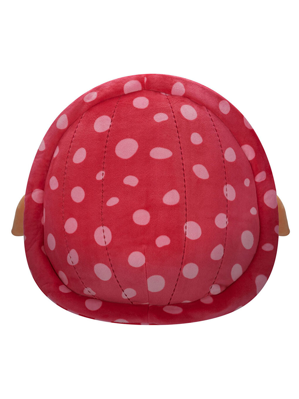 Kaplumbağa Caine 36 cm SQCR05601-2