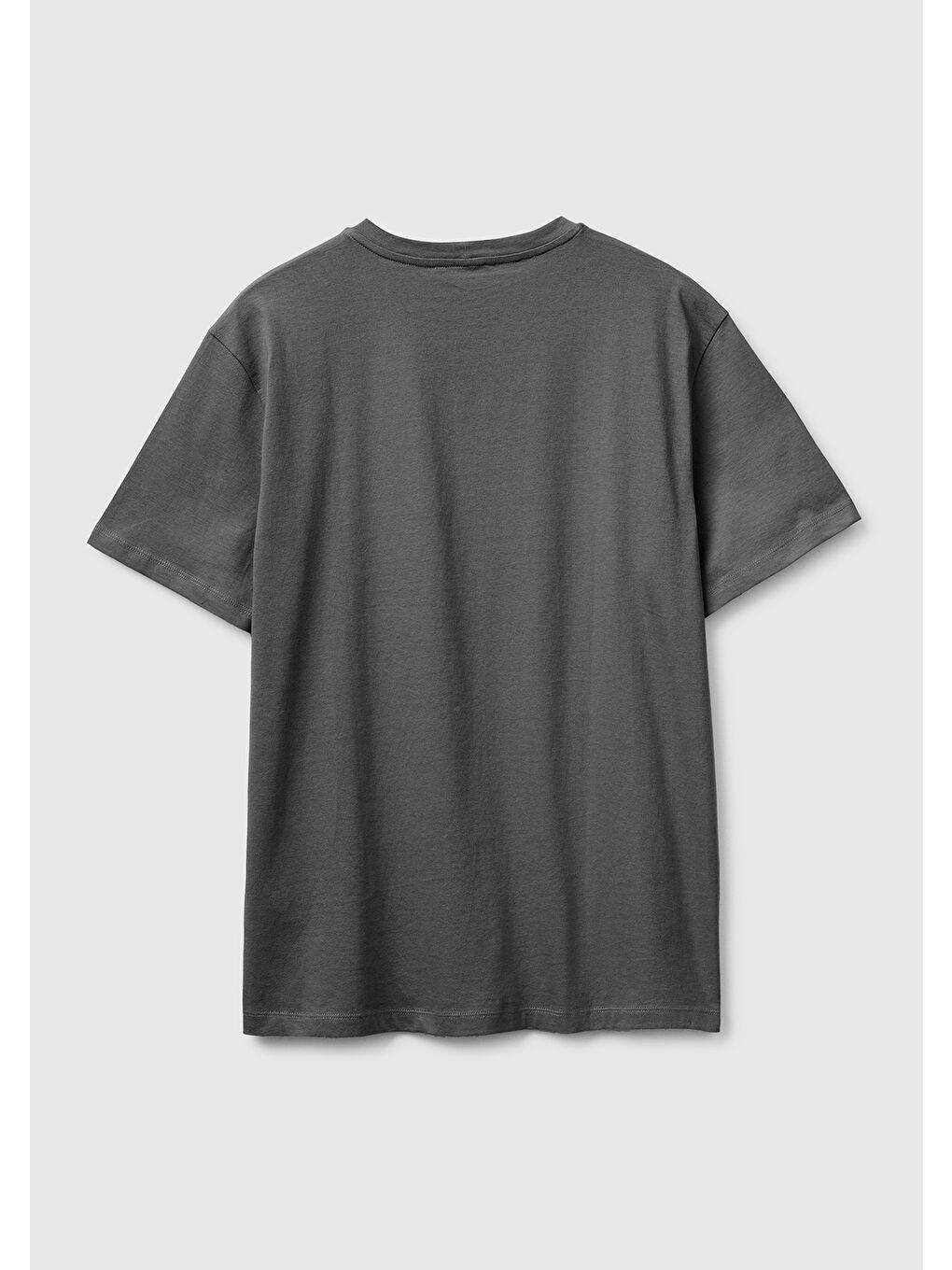 Erkek Antrasit  %100 Pamuk Logo Baskılı Regular Fit Bisiklet Yaka T-Shirt-1