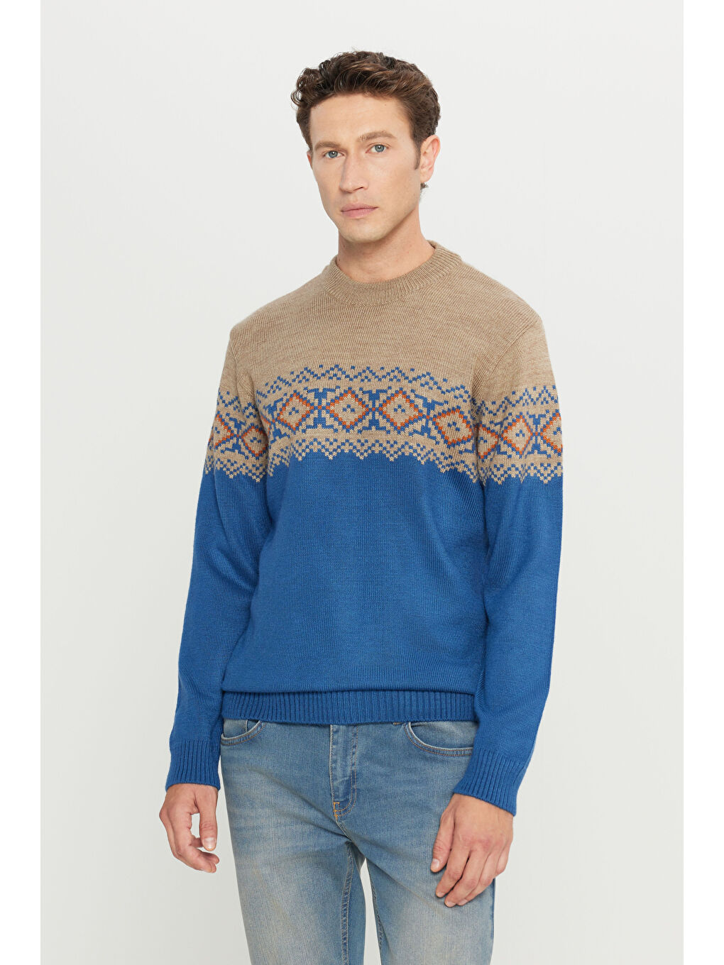 Erkek Bej-Havacı Mavi Standart Fit Normal Kesim Yarım Balıkçı Yaka Desenli Triko Kazak-2