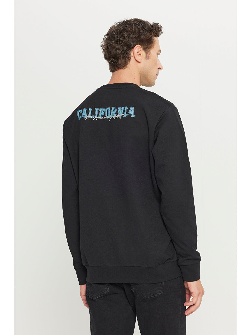 Erkek Siyah 2 İplik Pamuklu Standart Fit Normal Kesim Rahat Bisiklet Yaka Sweatshirt-1