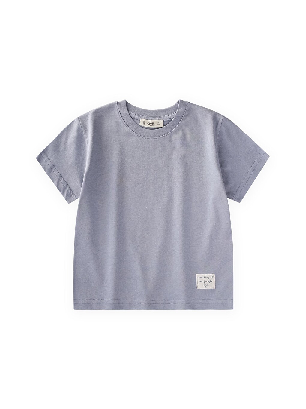 Etiket Detaylı T-shirt 2-10 Yaş Mavi