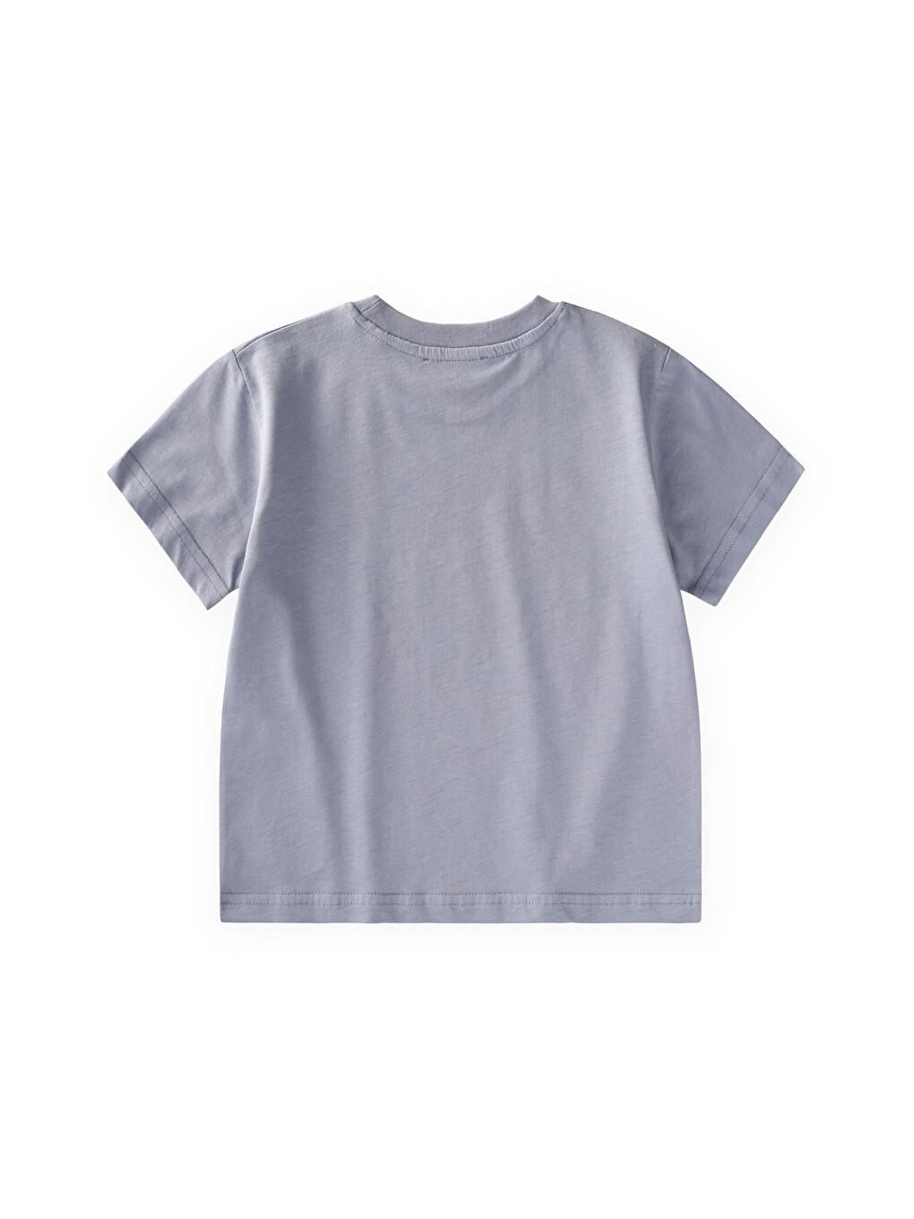 Etiket Detaylı T-shirt 2-10 Yaş Mavi-1