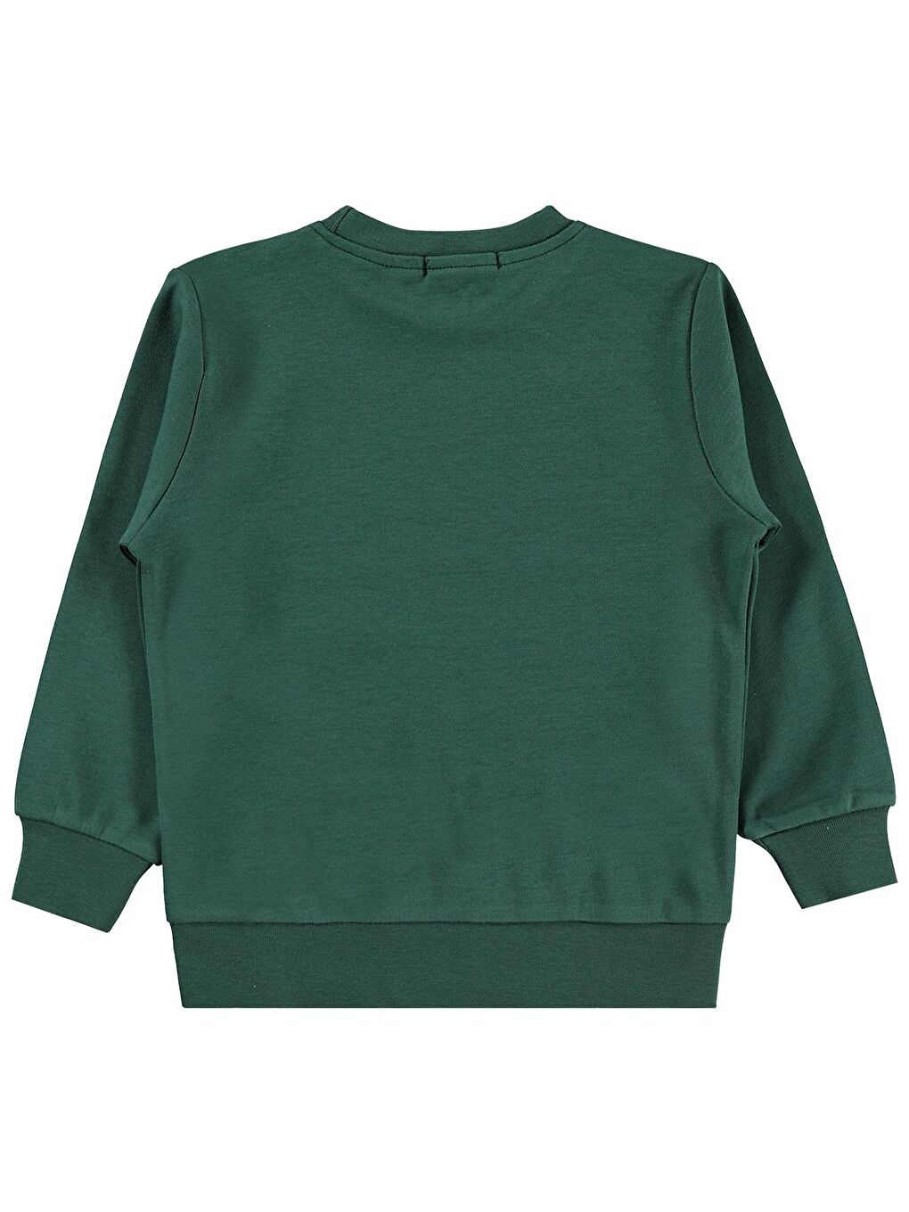 Boys Erkek Çocuk Great Baskılı 2-5 Yaş Sweatshirt - Yeşil-1