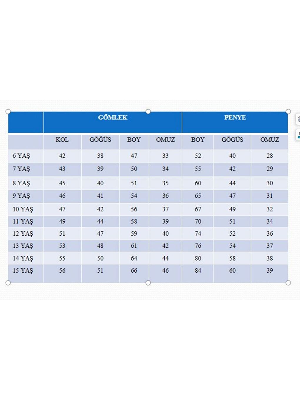 Gri Erkek Çocuk Çıtçıtlı Gömlek Tişört Üst Takım-7