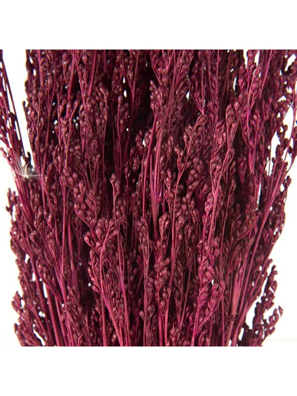 Deco Deniz Süpürgesi - Fuşya - 45x15 cm-2