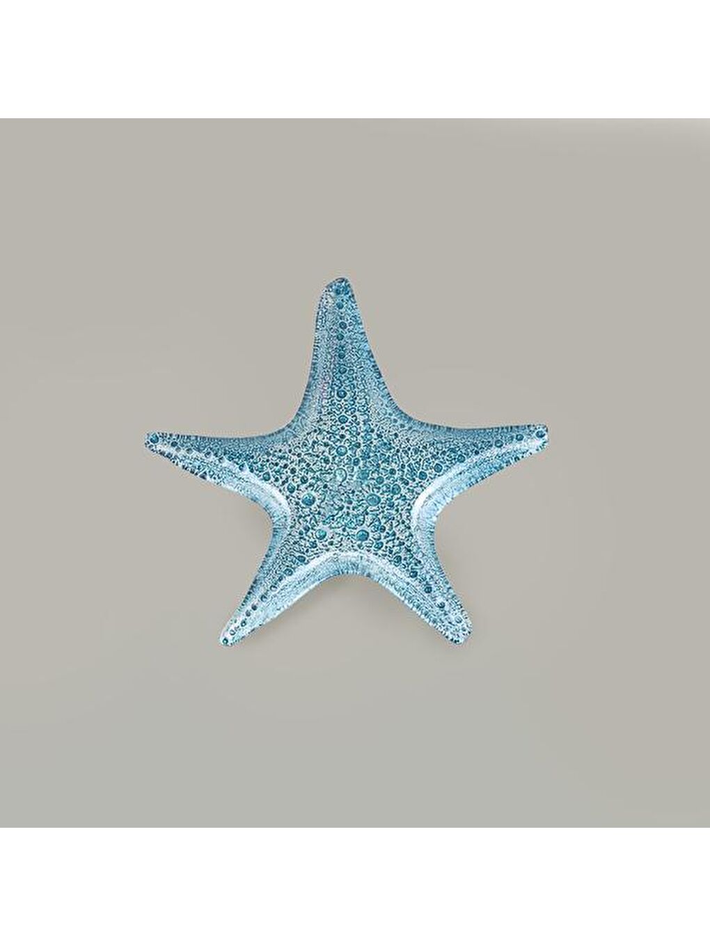 Deco Seaside Dekoratif Tabak - Turkuaz - 35 cm-3