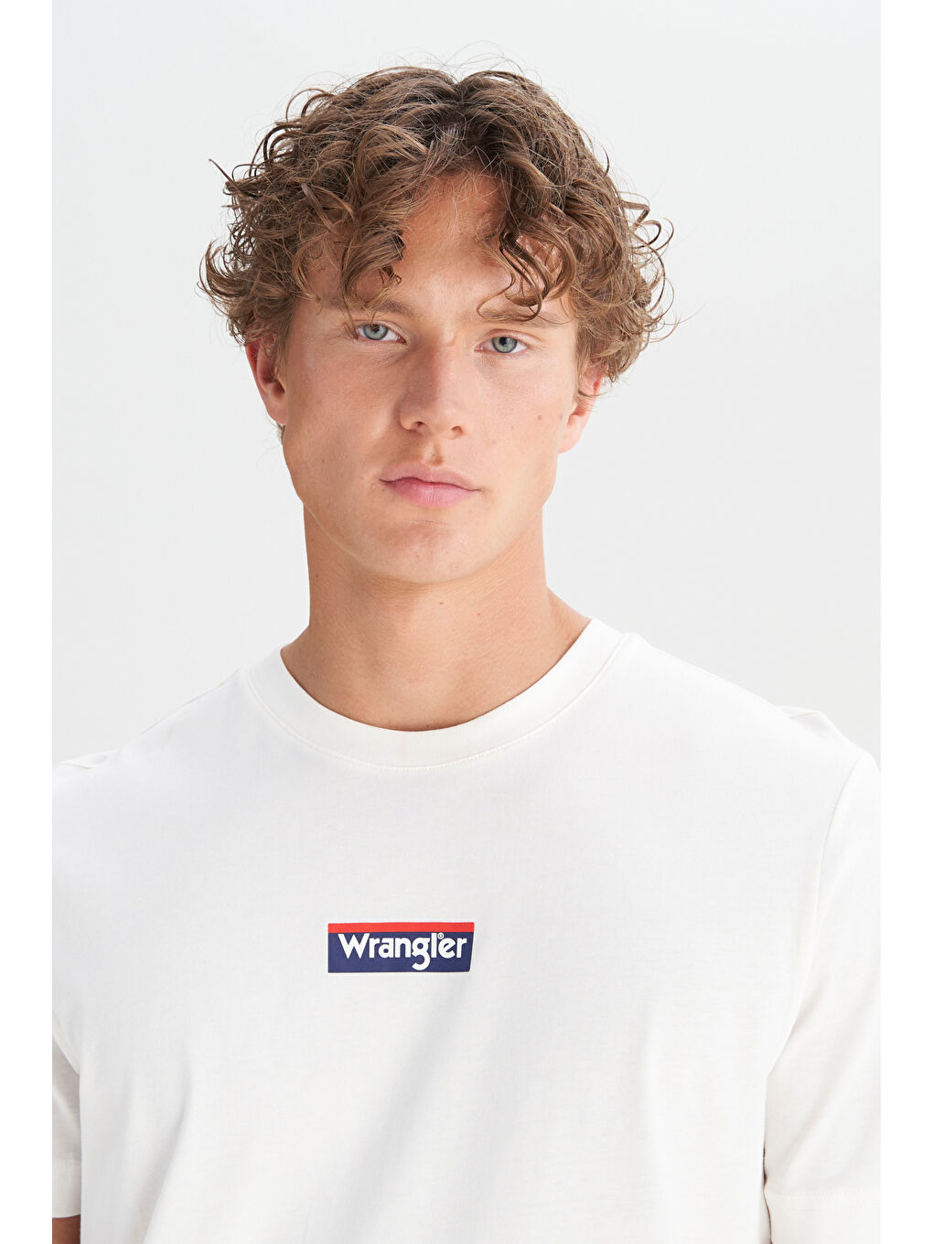 Beyaz %100 Pamuk Regular Fit Normal Kesim Bisiklet Yaka Ekru Mini Logo Tişört-3