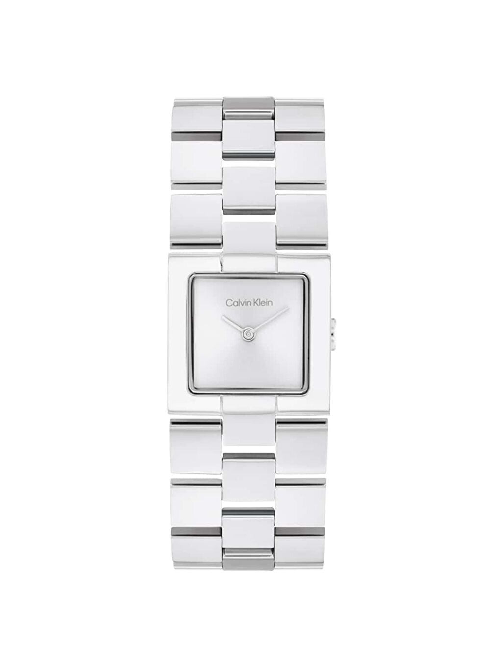 Gri CK25100088 Kadın Kol Saati