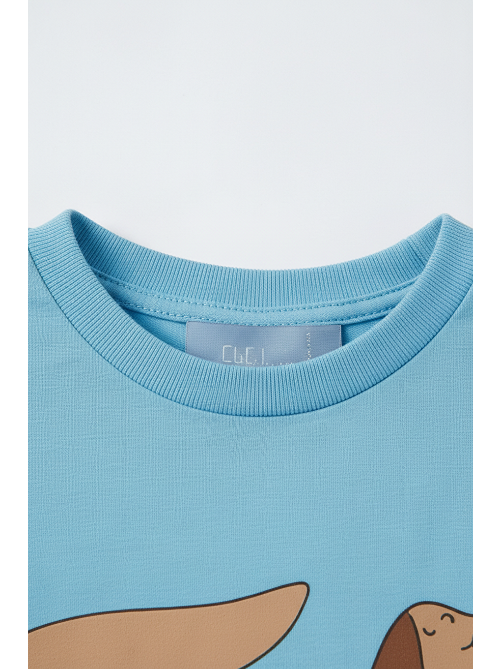 Karışık Çocuk Pamuklu Mavi Köpek Baskılı T-Shirt Ve Çizgili Şort Takım-5