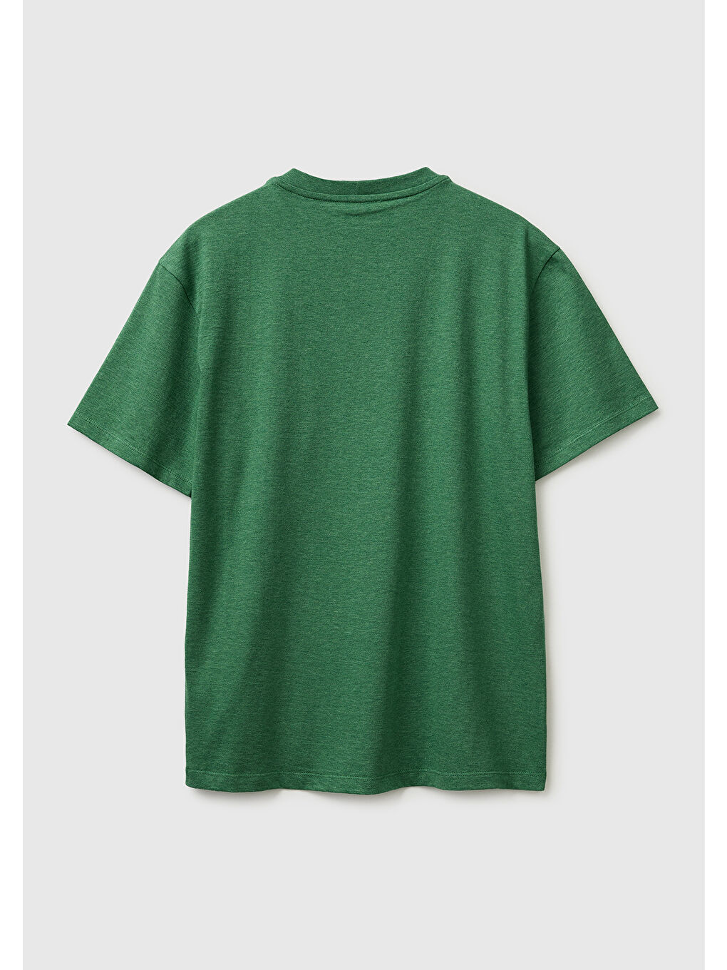 Erkek Yeşil  %100 Pamuk Regular Fit Logo  Nakışlı T-Shirt-1